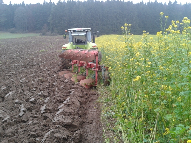 2012-11-15 14.42.58 (640x480).jpg