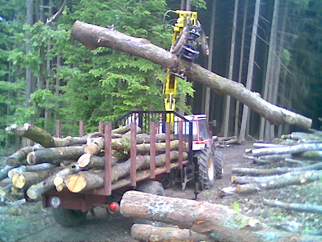 Bild031.jpg