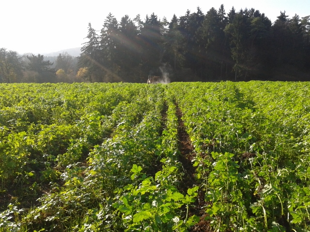 2014-11-14 12.21.02 (640x480).jpg