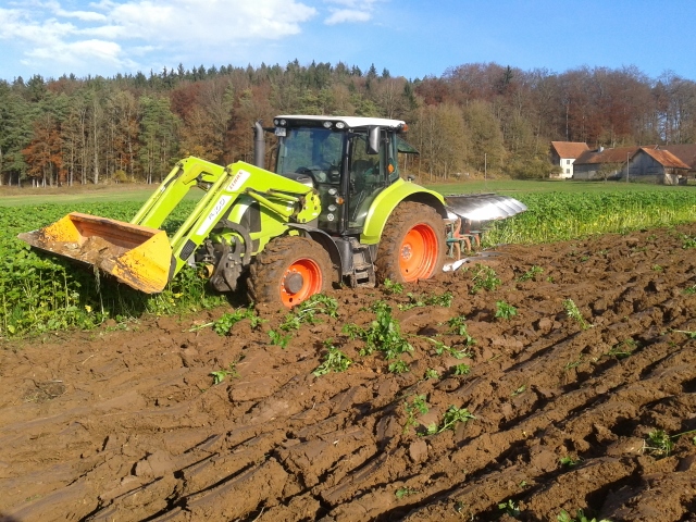 2014-11-15 11.25.04 (640x480).jpg