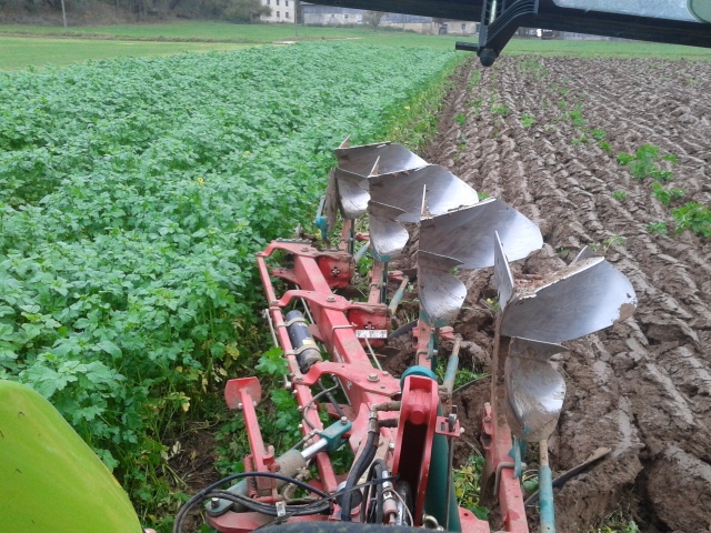 2014-11-15 13.10.30 (640x480).jpg