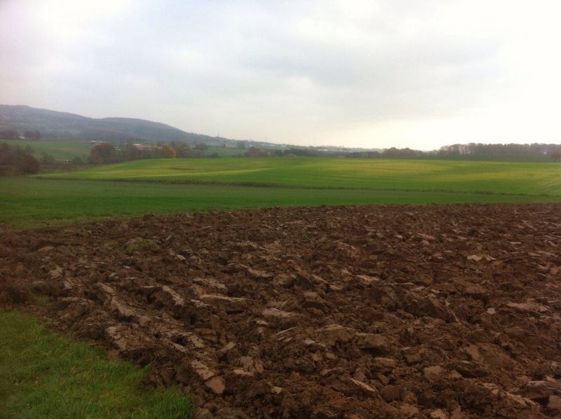 Bilder 001 Gerste Kollege  .JPG