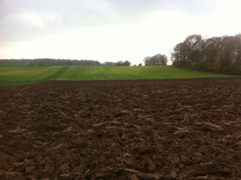 Bilder Gerste Kollege 2.JPG