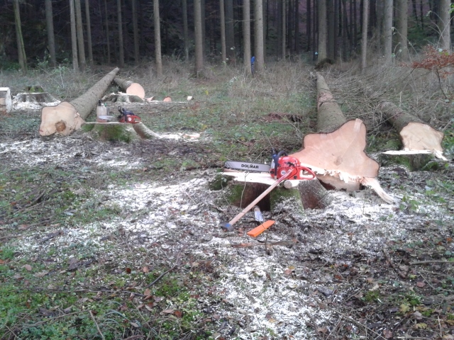 2014-11-21 14.44.27 (640x480).jpg