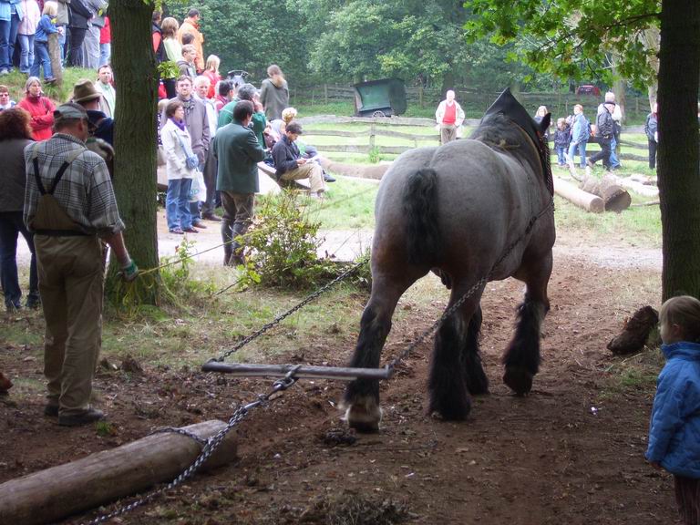 Resize of SV103974.JPG