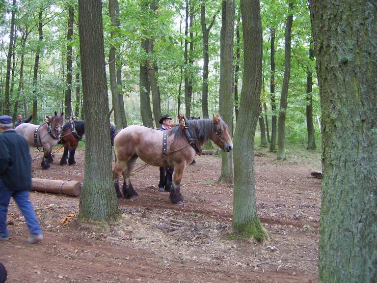 Resize of SV103970.JPG