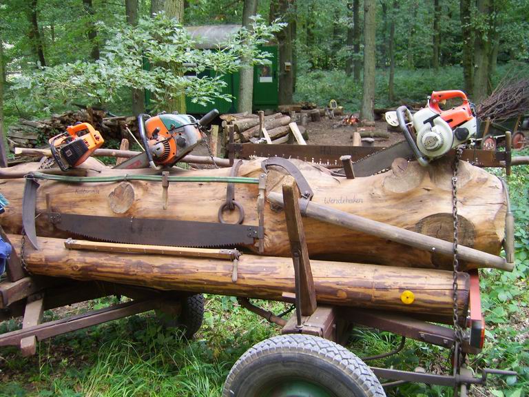 Resize of SV103978.JPG