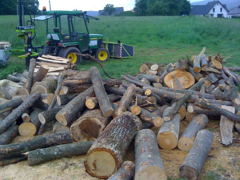 Kaminholz 2013 018 bearbeitet1.jpg
