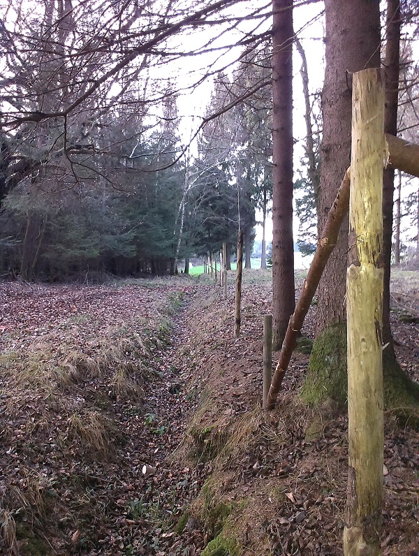 2014-12-13 16.02.22.jpg