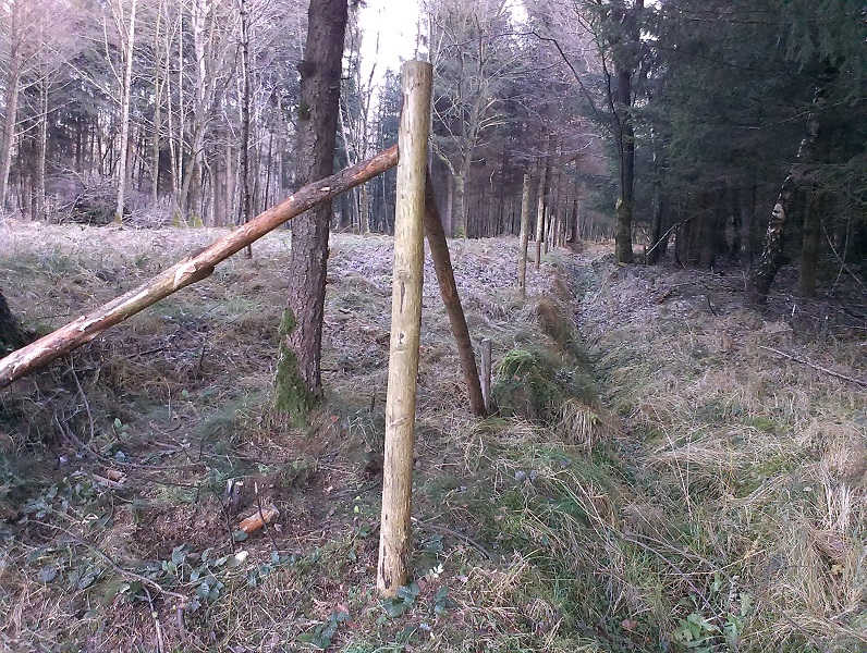 2014-12-13 16.03.10.jpg