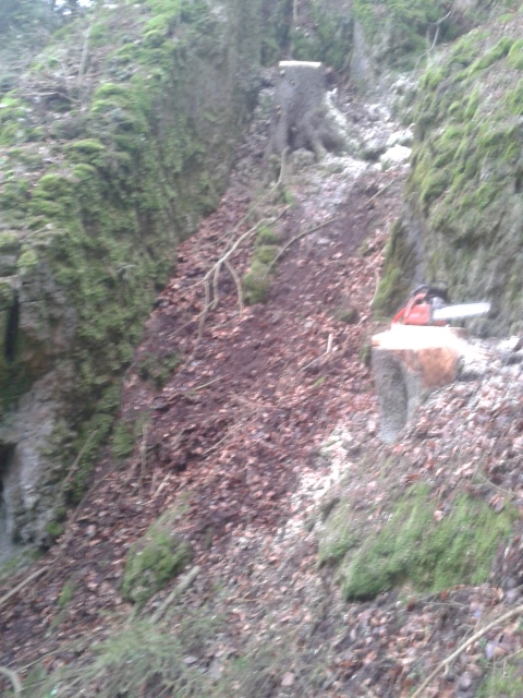 2013-12-13 14.59.44 (480x640).jpg