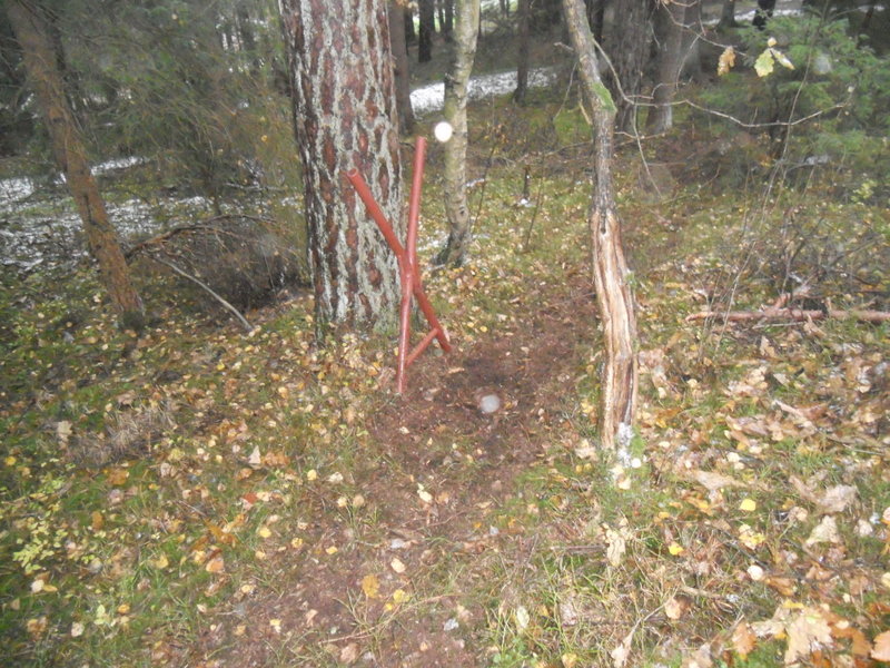 Brennholz2012 011.JPG