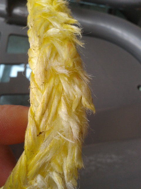 2014-12-28 12.04.18 (480x640).jpg