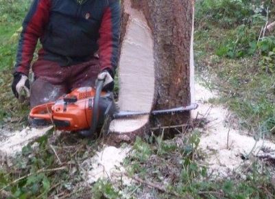 P1070694 Fällkerb Sohle.JPG