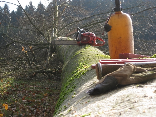 holzplatz 167 (500x375).jpg