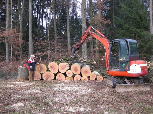 holzplatz 170 (500x375).jpg