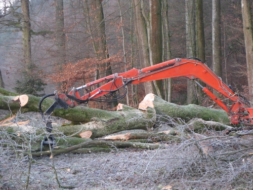 holzplatz 169 (500x375).jpg