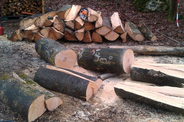 Buchen spalten 2.jpg