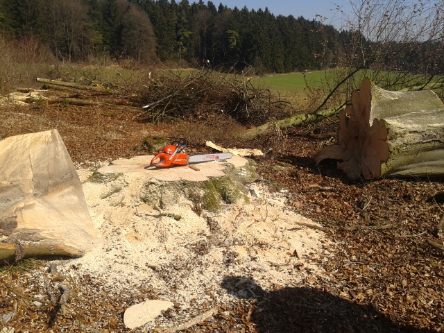 2012-03-22 11.12.12 (640x480).jpg