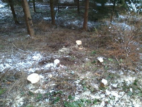 2015-01-24 14.36.31.jpg