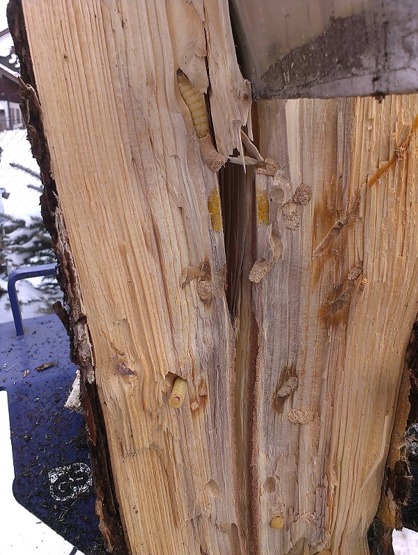 2015-01-31 10.22.45.jpg