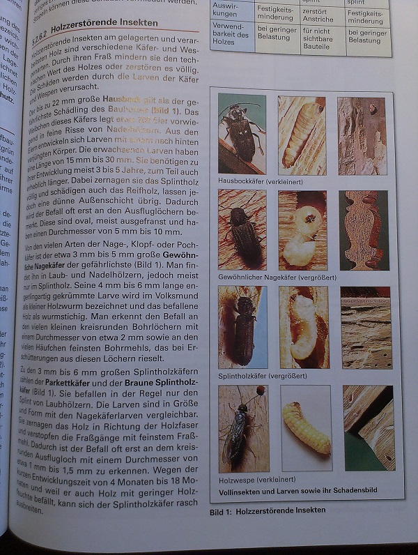 2015-02-01 10.46.43.jpg