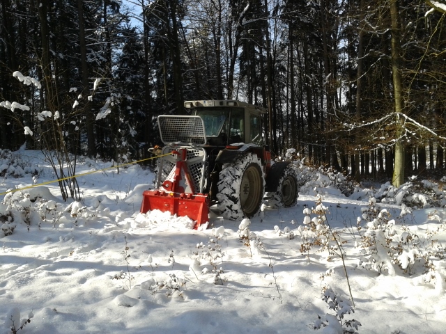 2015-02-03 12.00.56 (640x480).jpg