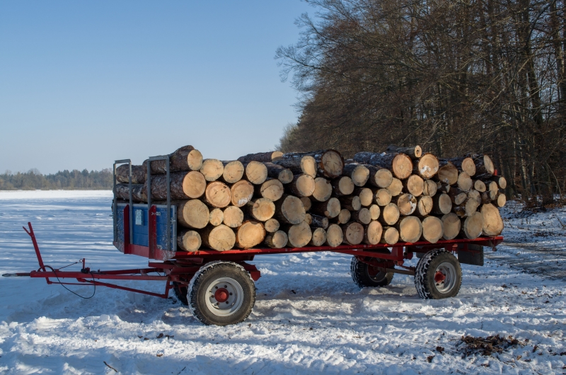 DSC_0170 als Smartobjekt-1.jpg