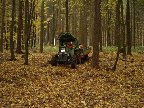 Oktober 08 Hochgeräumt 009.jpg