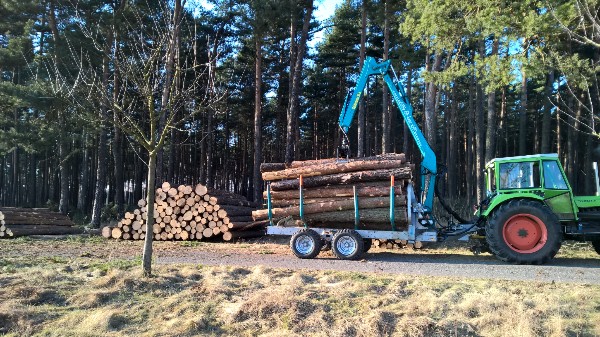 PicsArt_18_02_2015 06_21_31.jpg