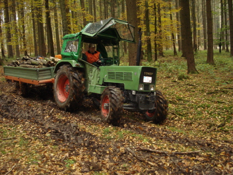 Oktober 08 Hochgeräumt 007.jpg