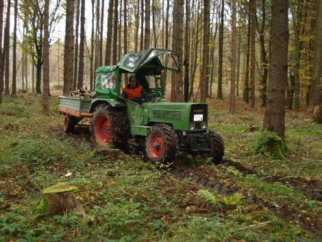 Oktober 08 Hochgeräumt 006.jpg