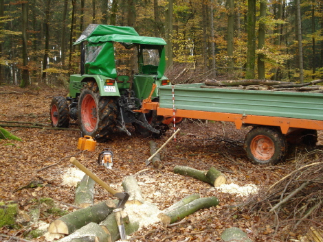 Oktober 08 Hochgeräumt 001.jpg