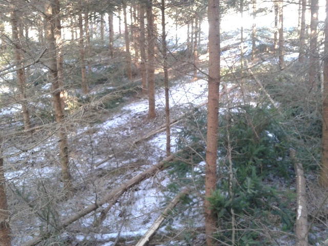 2015-02-20 11.54.00 (640x480).jpg