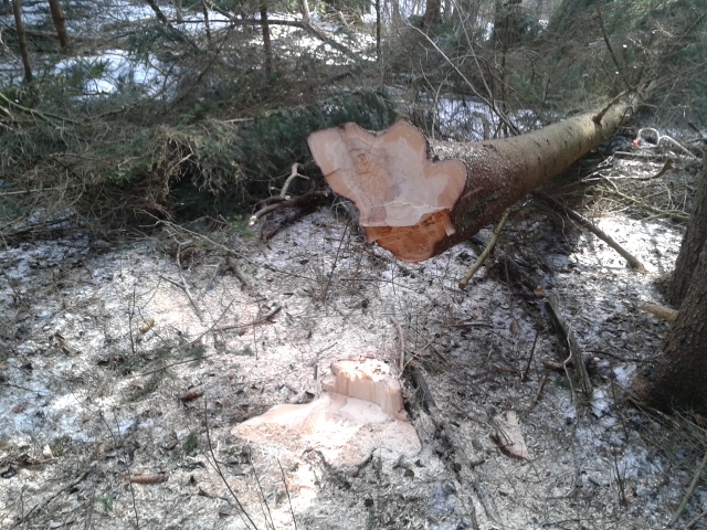 2015-02-21 13.50.10 (640x480).jpg