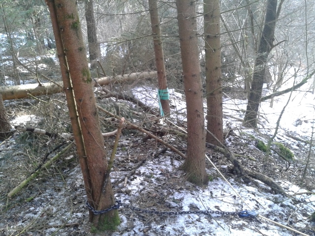 2015-02-21 13.50.41 (640x480).jpg