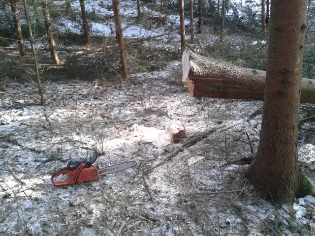 2015-02-21 13.51.22 (640x480).jpg