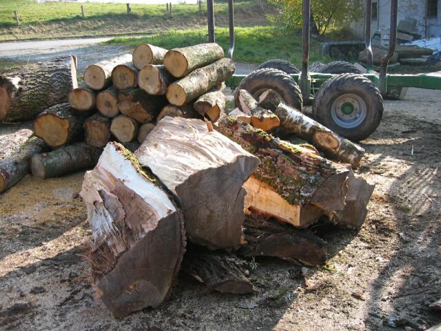 Bild3.jpg