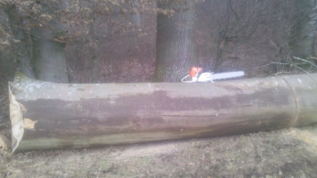 2015-03-04_16-05-26_757 (640x360).jpg