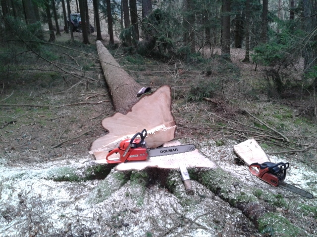 2015-03-06 11.54.32 (640x480).jpg