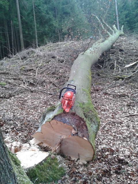 2015-03-06 14.17.52 (480x640).jpg