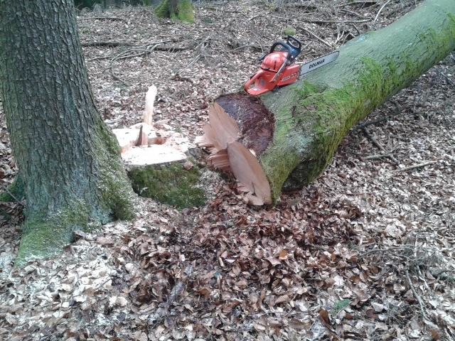 2015-03-06 14.19.31 (640x480).jpg