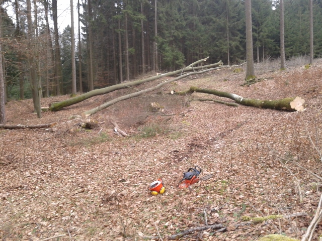 2015-03-06 15.11.55 (640x480).jpg