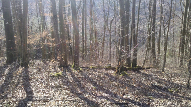 2015-03-12_15-17-57_726 (640x360).jpg