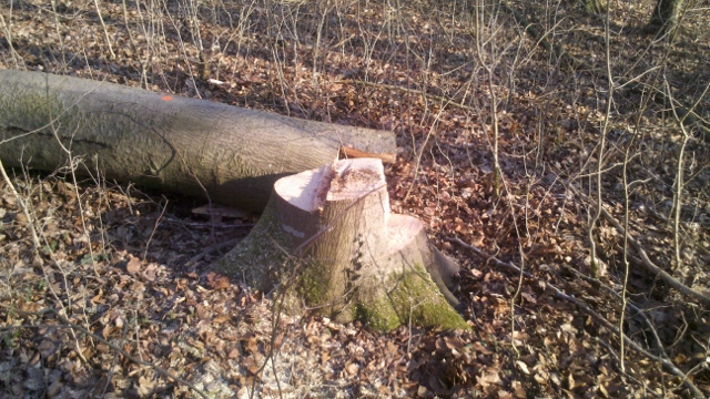 2015-03-12_17-23-44_257 (640x360).jpg