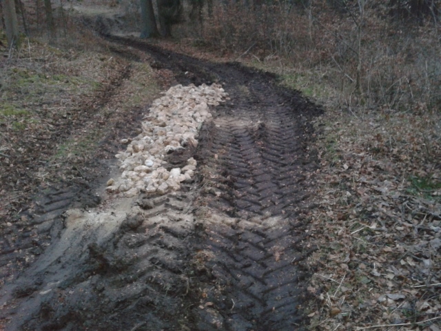 2015-03-16 18.24.01 (640x480).jpg