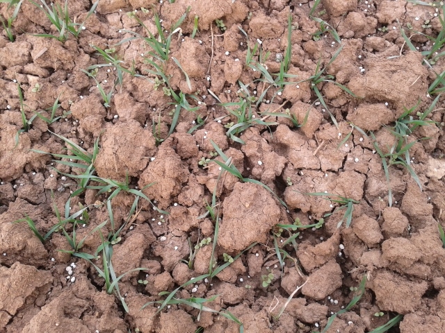 2015-03-17 15.50.51 (640x480).jpg