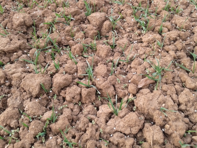 2015-03-17 15.51.01 (640x480).jpg