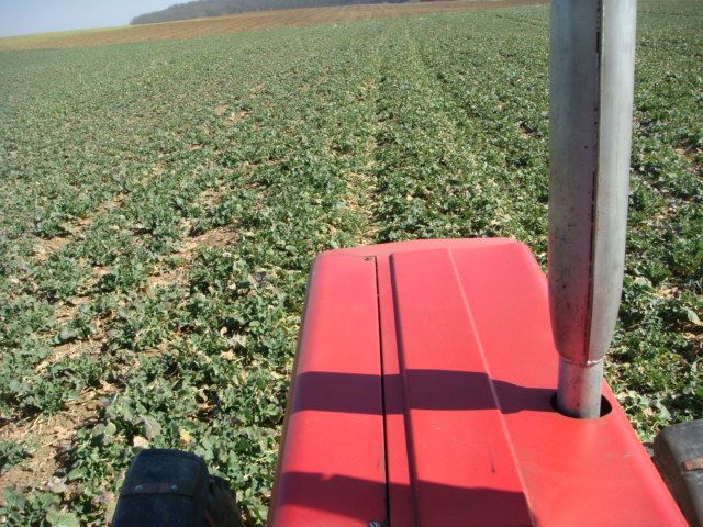 2. N-Gabe Raps 20.3.15.jpg