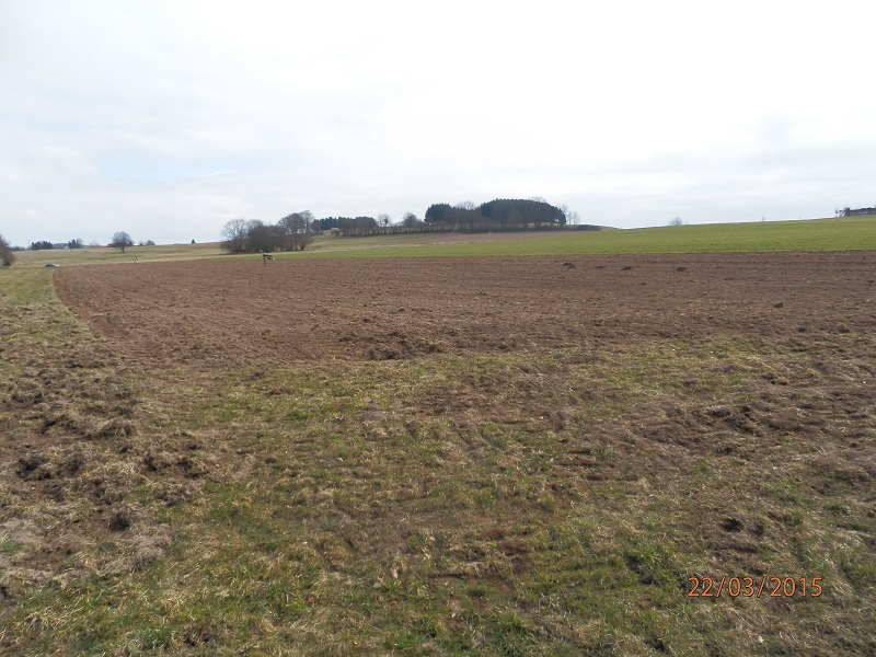 Hafer Dominik(Grünlandumbruch).JPG